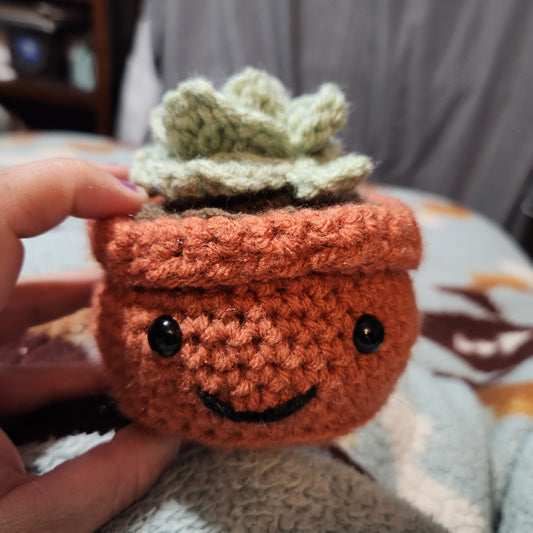 Crochet Succulent