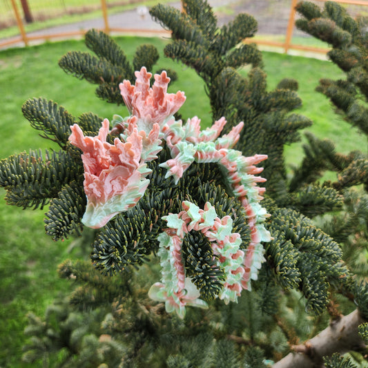Sakura Flower Dragon 3D Print