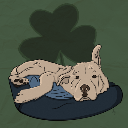 Custom Colored Pet Portrait