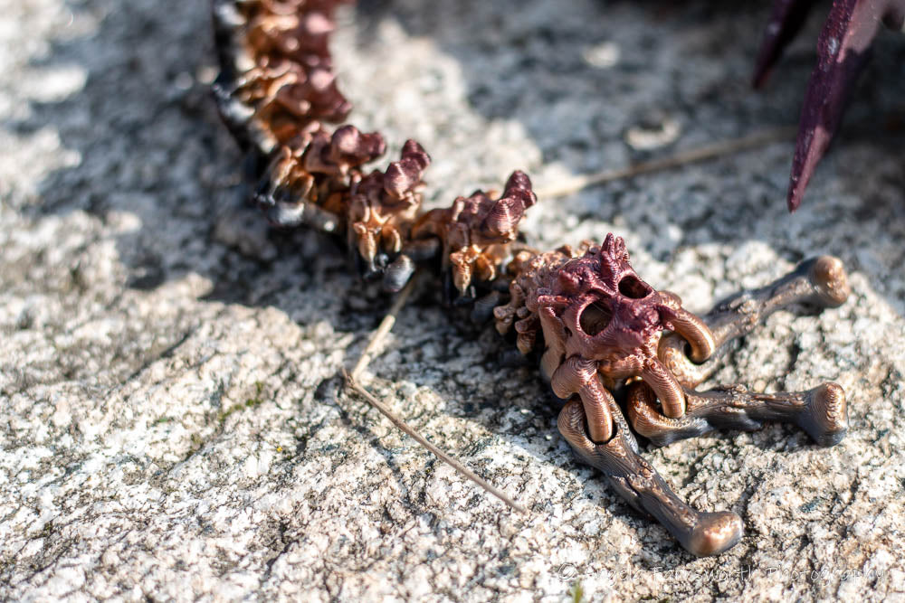 3D Printed Hallow Dragon Wings