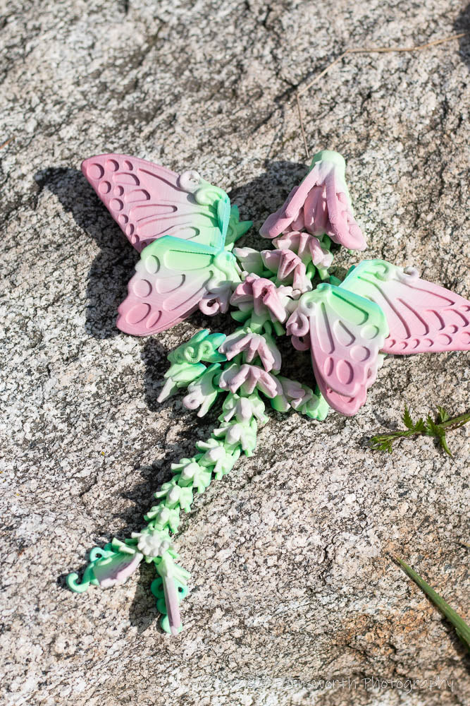 3D Print Butterfly Dragon