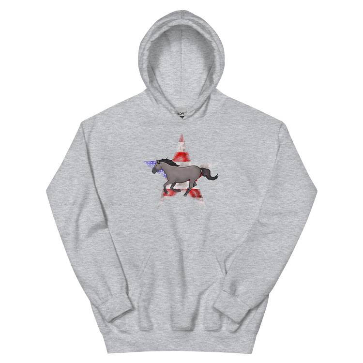 USA Pride | Unisex Hoodie